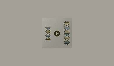 DNA 분리 및 증폭